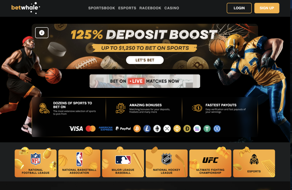 Betwhale Casino Website