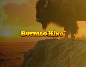 Buffalo King Not On GamStop